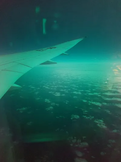 20160515_094503 (Large).jpg